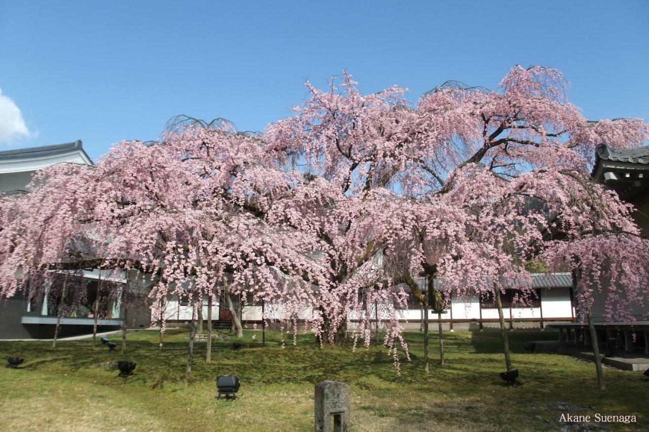 Kyoto Home Higashikujo Εξωτερικό φωτογραφία
